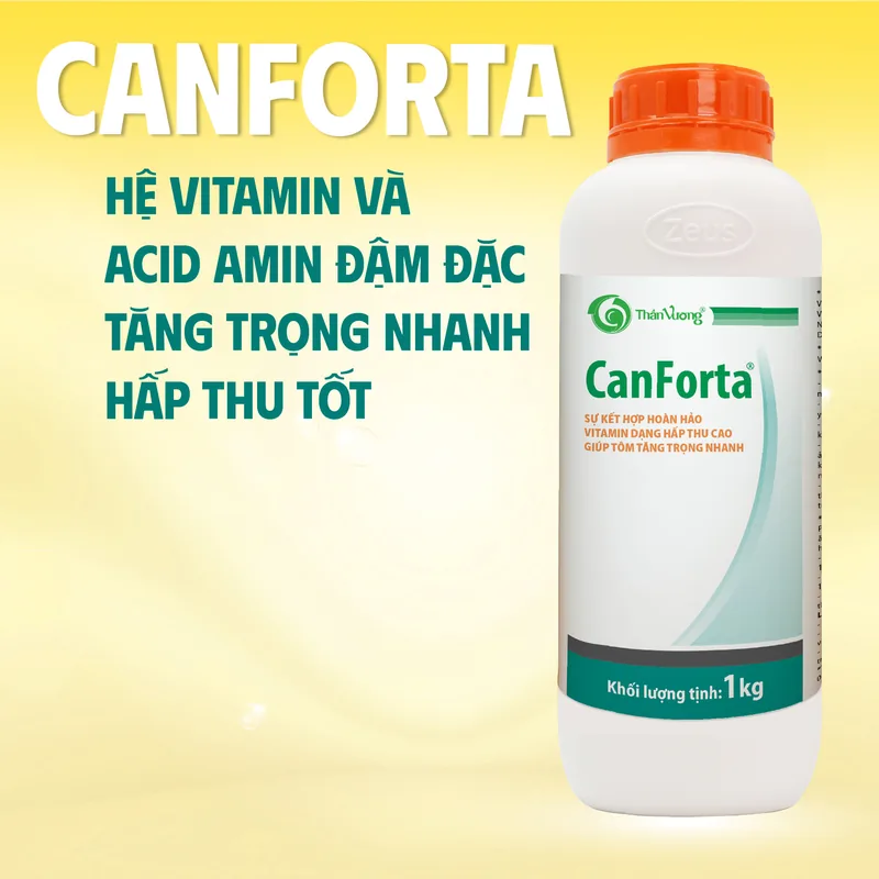 CANFORTA