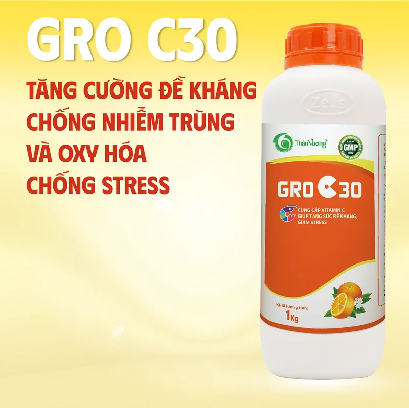 GRO C30