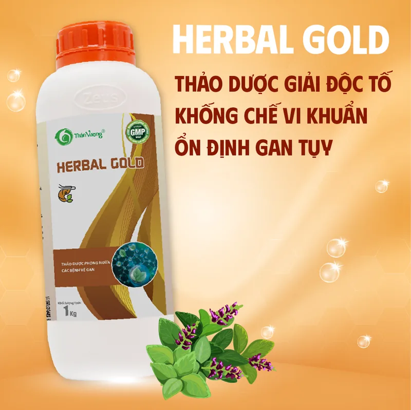 HERBAL GOLD