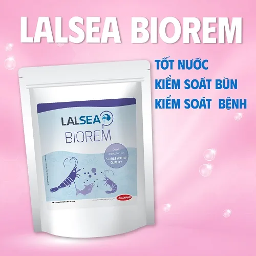 LALSEA BIOREM