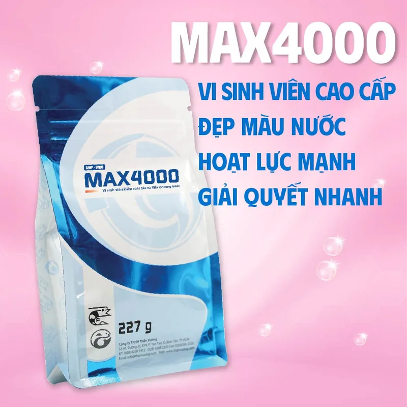 MAX 4000