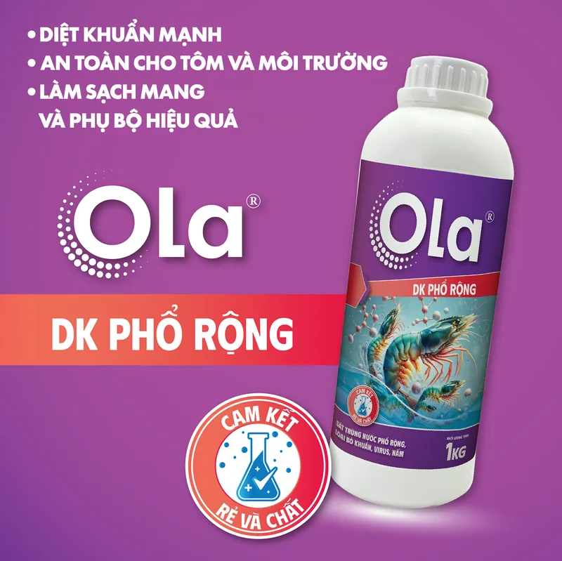 OLA DK Phổ Rộng 2