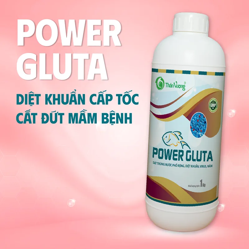 POWER GLUTA