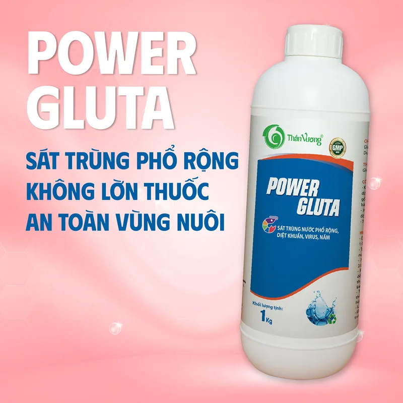 POWER GLUTA 2