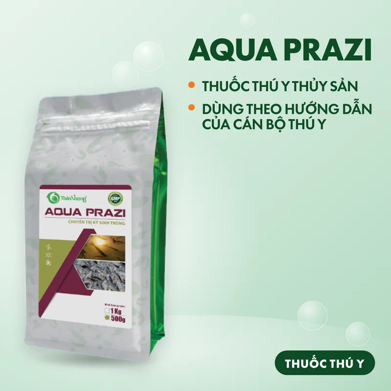 AQUA PRAZI 4