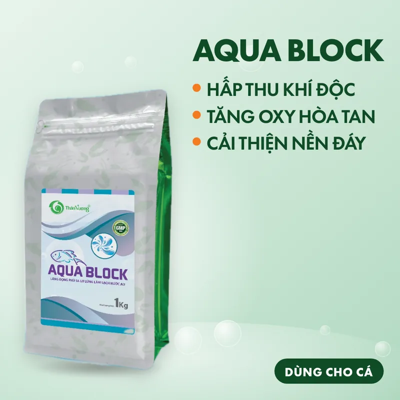 AQUA BLOCK