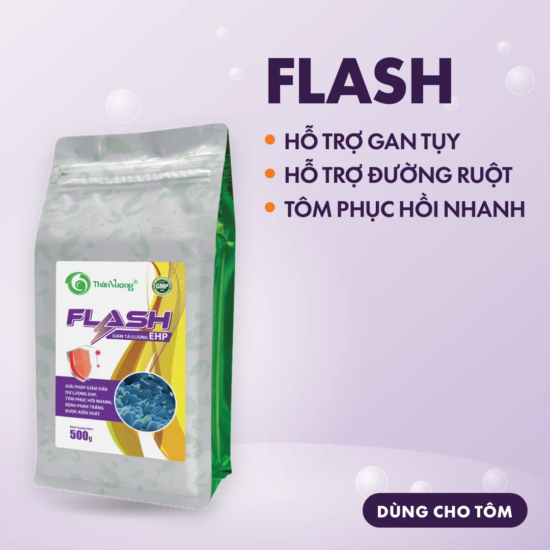 FLASH
