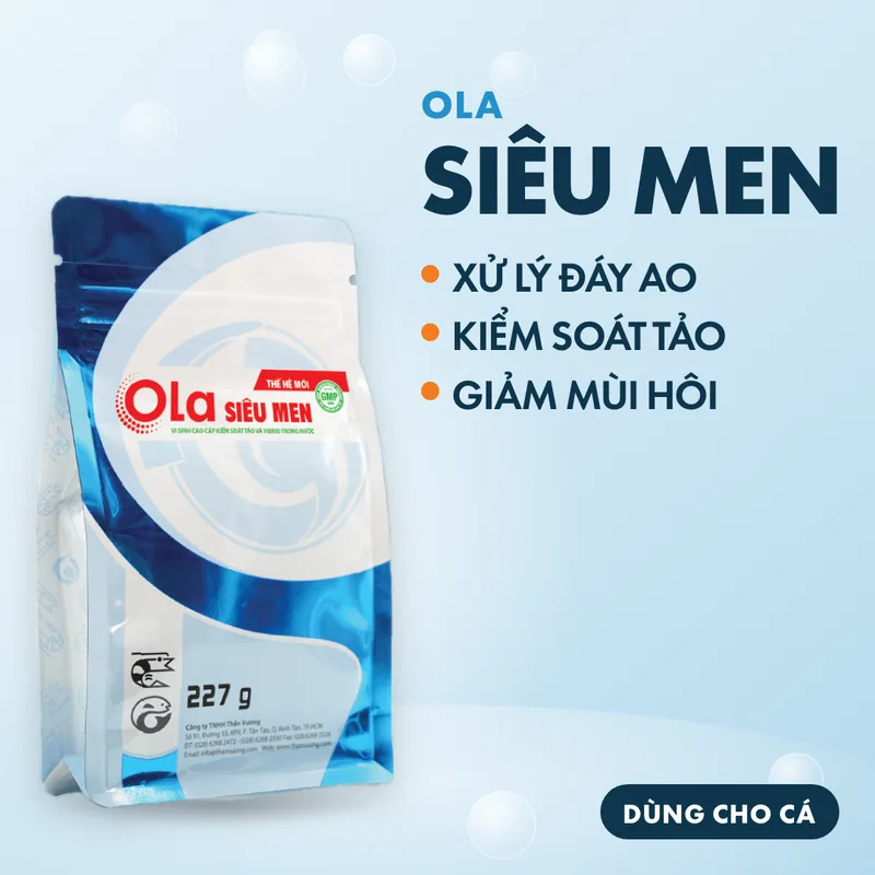 OLA Siêu Men 2