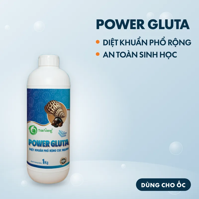 POWER GLUTA 2