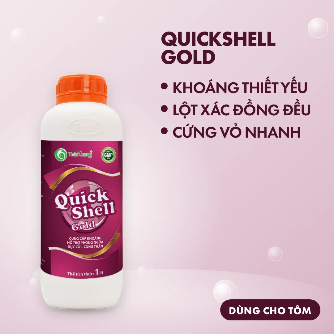 QUICKSHELL GOLD 3