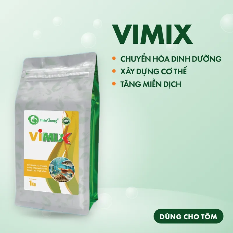 VIMIX 2