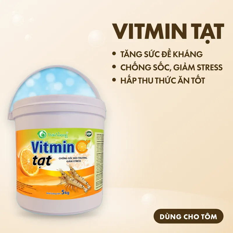VITMIN TẠT
