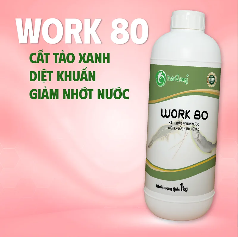 WORK 80