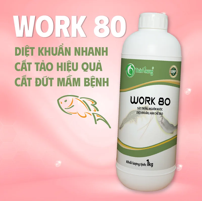 WORK 80