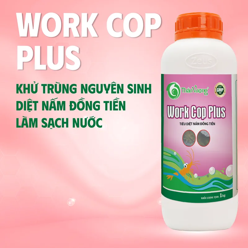 WORK COP Plus