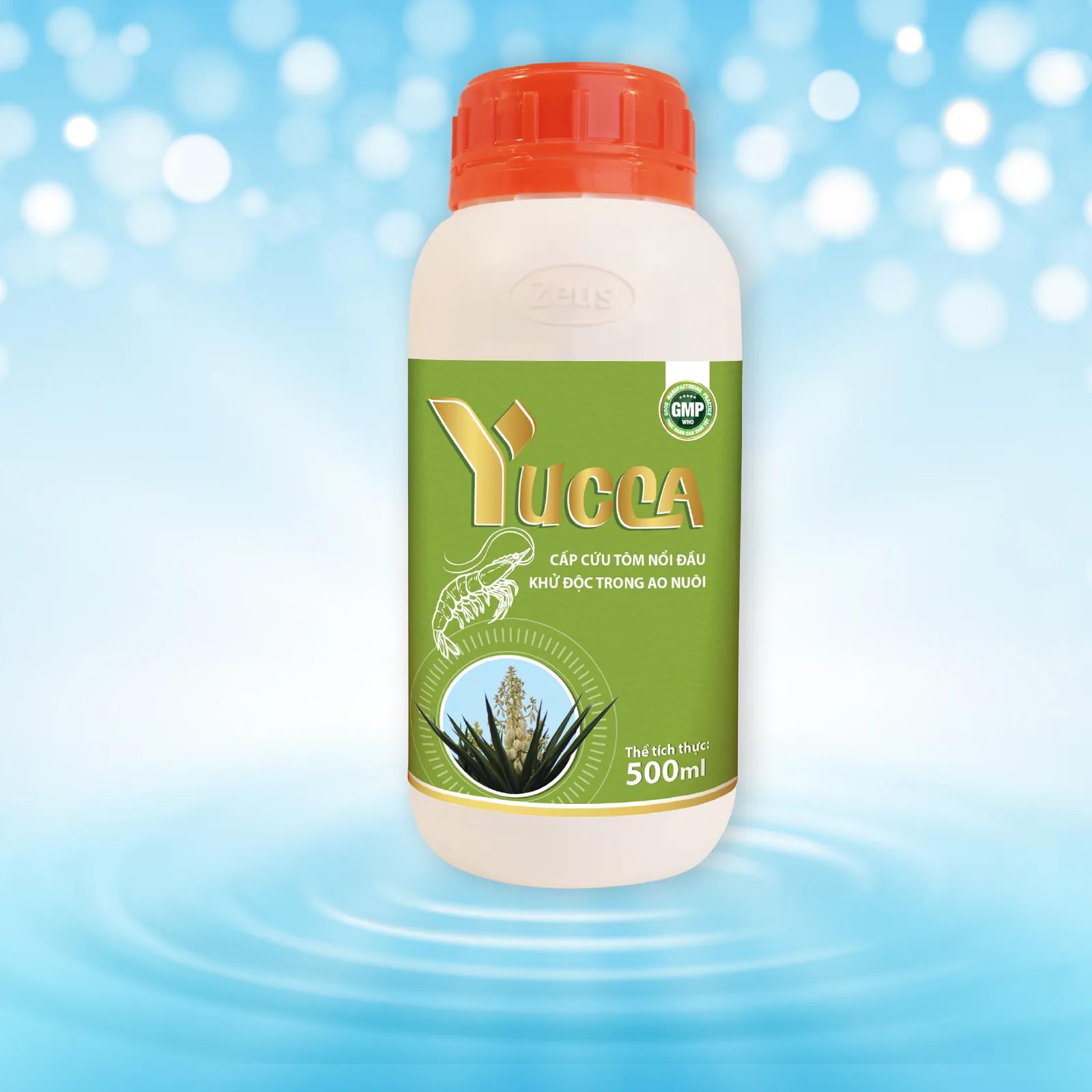 YUCCA