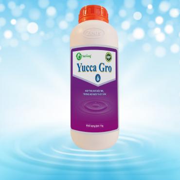 YUCCA GRO 1