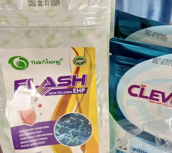 FLASH và CLEVER — bộ đôi hỗ trợ đường ruột, gan tụy