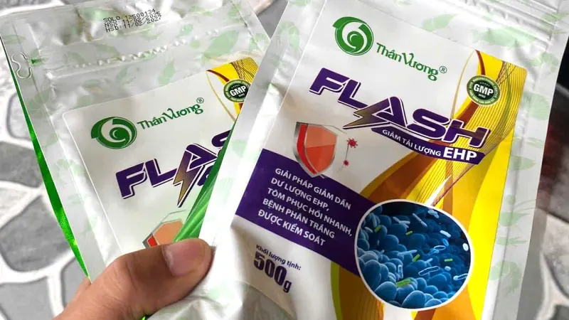 FLASH — hỗ trợ gan tụy, đường ruột