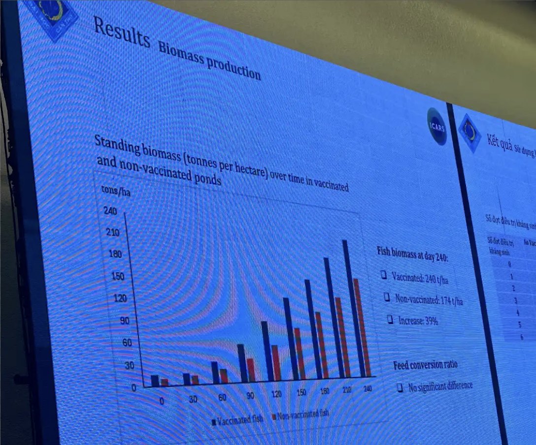 Slide with biomass results for vaccinated and unvaccinated ponds